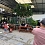 Chính chủ Bán 750m2 quán caffe sân vườn, góc 2 mặt tiền đường ven biển (võ nguyên giáp)