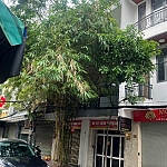 Chính chủ cần bán nhà mặt tiền đường 45, khu vực trung tâm Quận 4