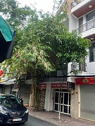 Chính chủ cần bán nhà mặt tiền đường 45, khu vực trung tâm Quận 4