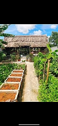 CẦN BÁN GẤP - Do Ko Có Ng Quản lý- Giám giá còn 5,8 tỷ